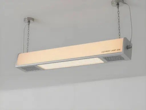 LED水果生鮮水果燈豬肉燈